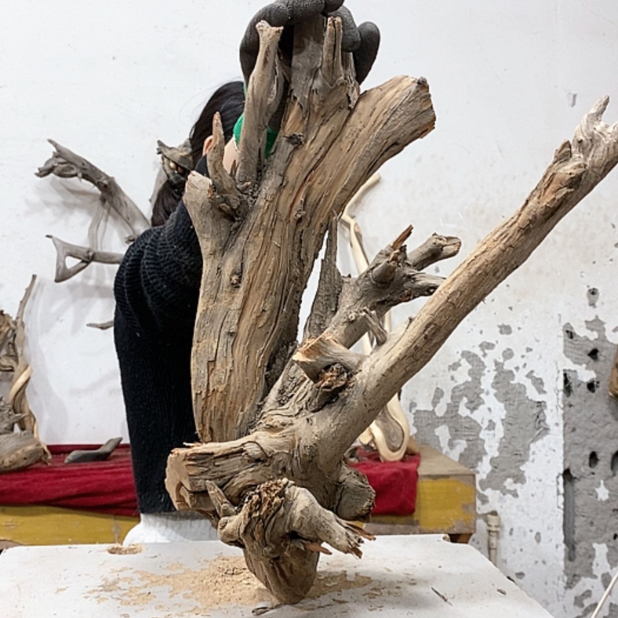 【闪购商品】柏木艺*缘我们都是好孩子