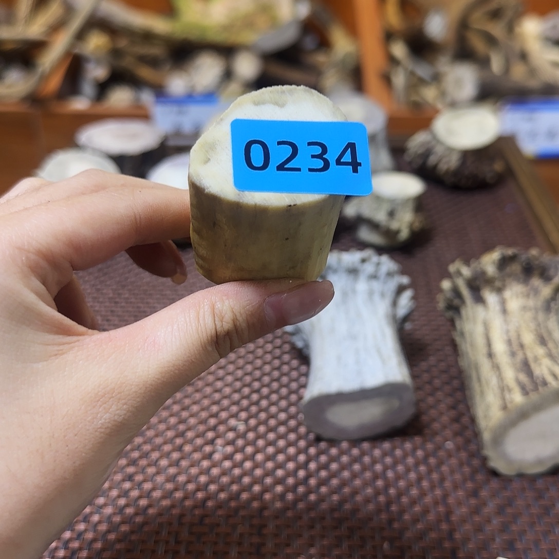 手串/手链鹿骨中段0234