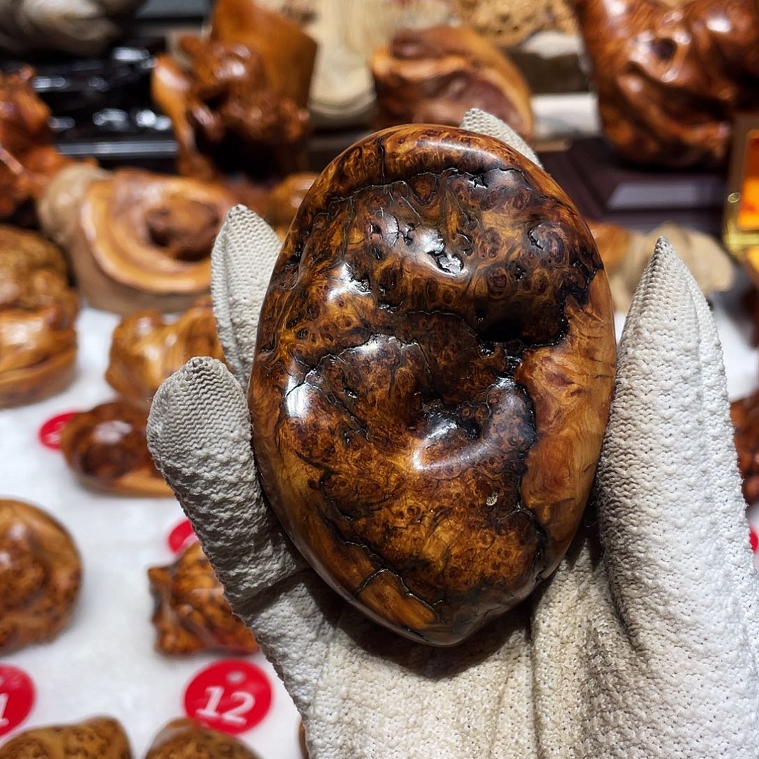 柏木（崖柏）太行崖柏