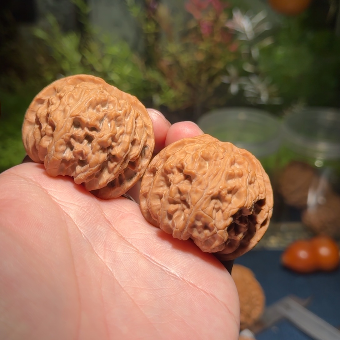 087号44苹果园苹果园苹果园