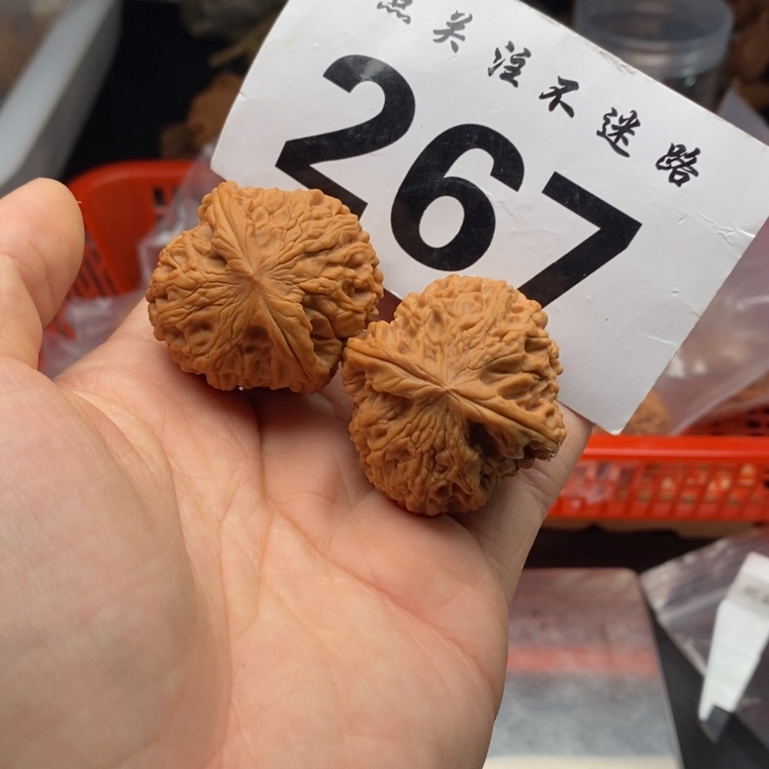 文玩核桃吊坠36龙眼