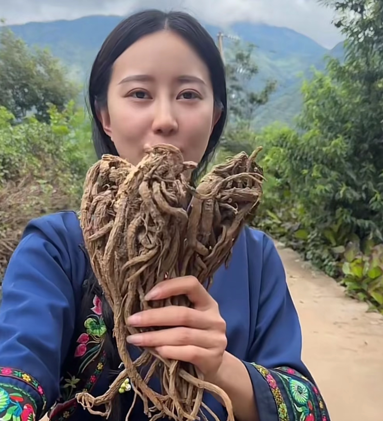 大凉山【甜当归整根发 自然晒干 泡酒 煲汤 无加工无熏流