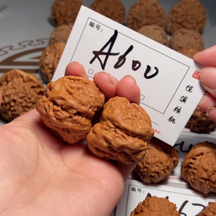 木质36蛤蟆头A600