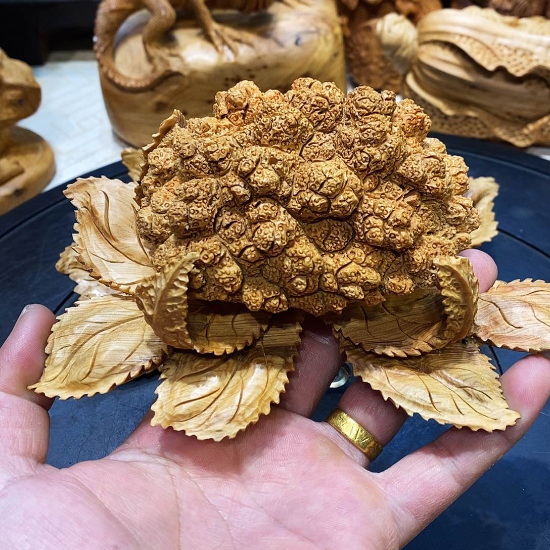 柏木（崖柏）崖柏柏木