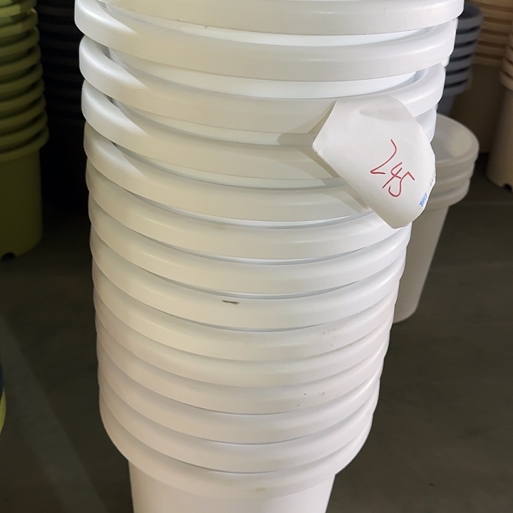 瑕疵7#口径33白色6个无托245