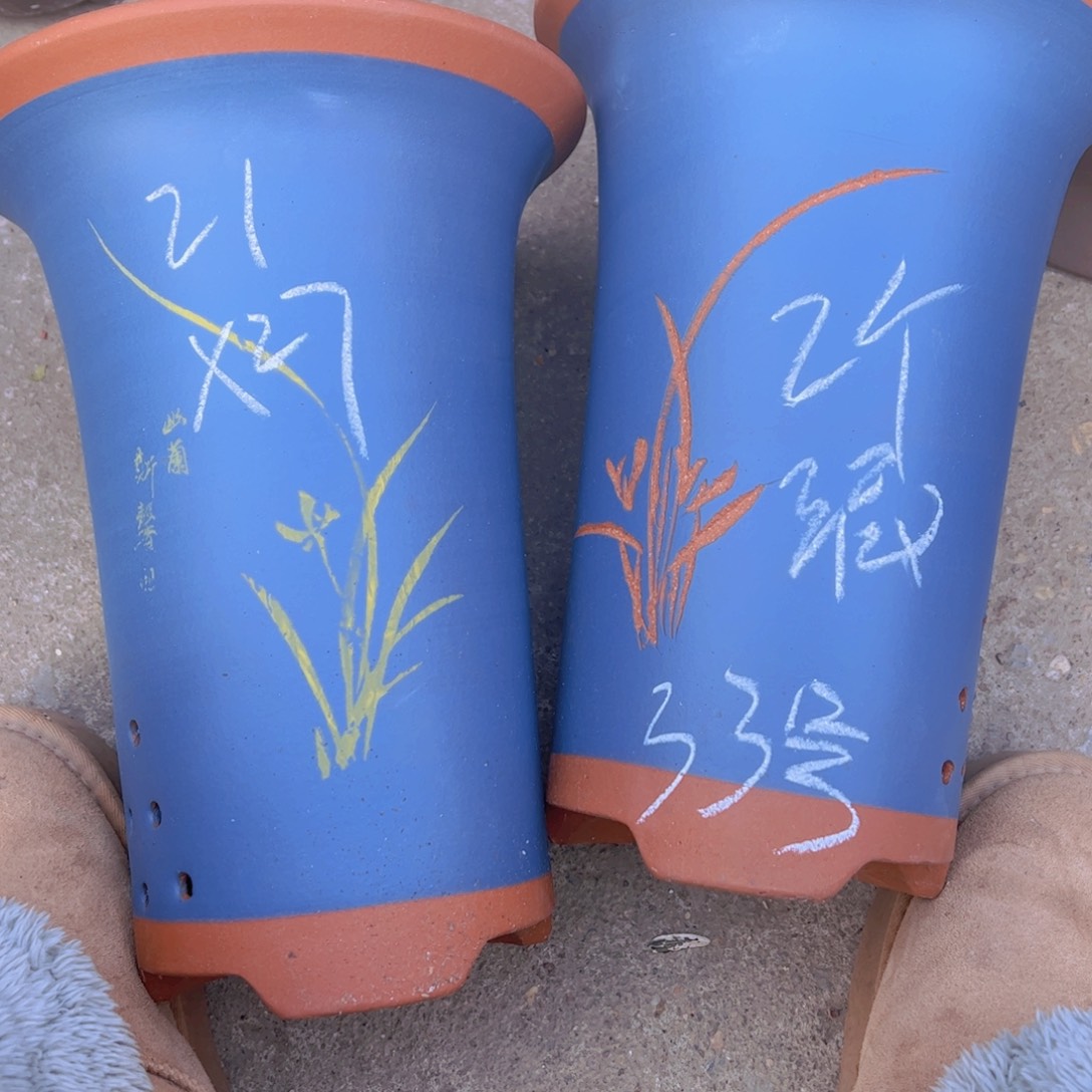 紫砂33号………………………………