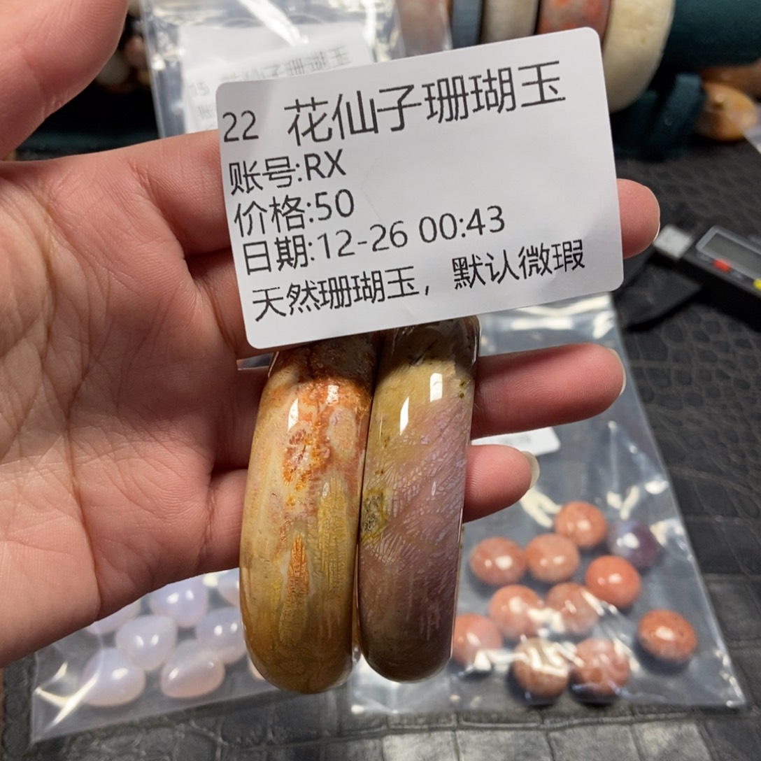 R***X硅化珊瑚（珊瑚玉）未镶嵌珠宝半成品22
