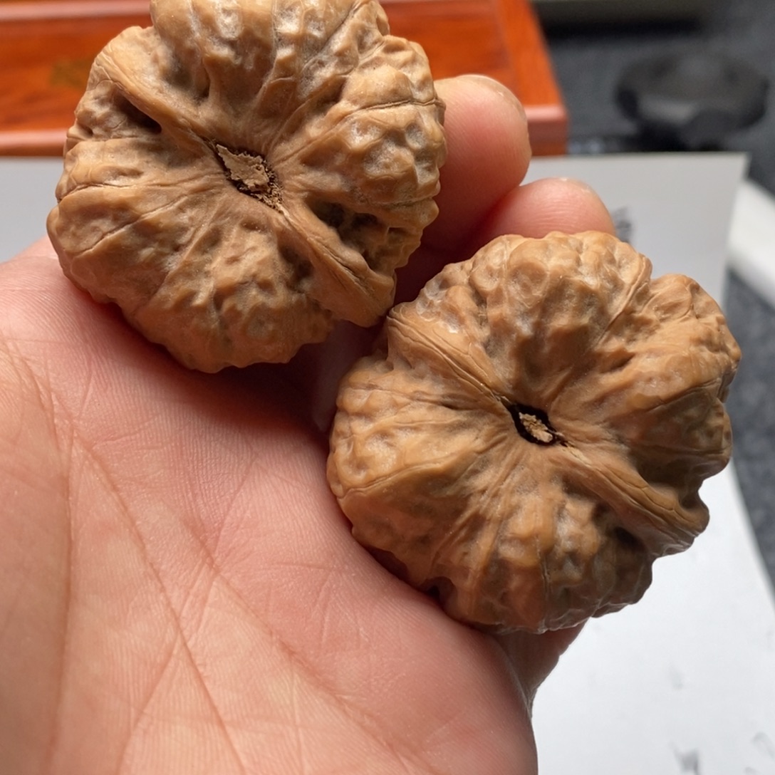 独***往好的我真的是太喜欢