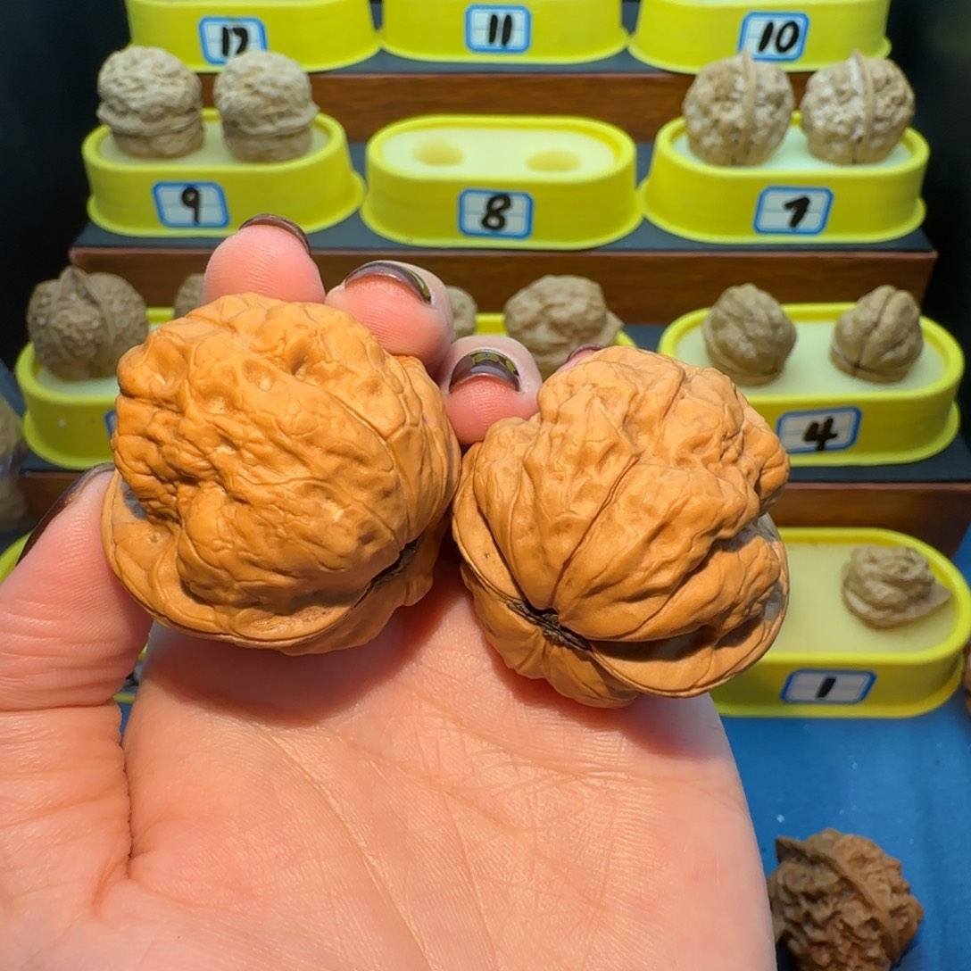 初***丶桃核把件蟾祖疙瘩包