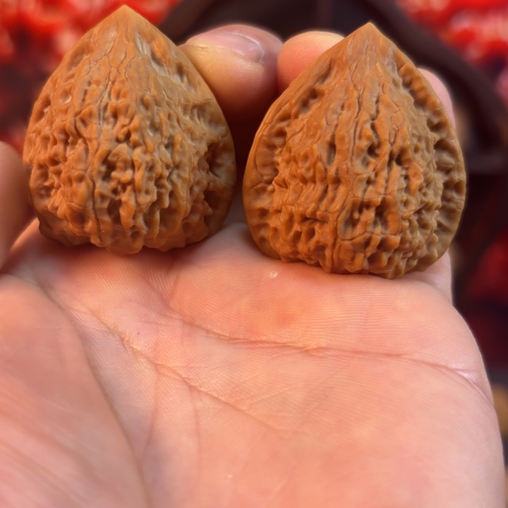 手串/手链核桃蛇王一抹