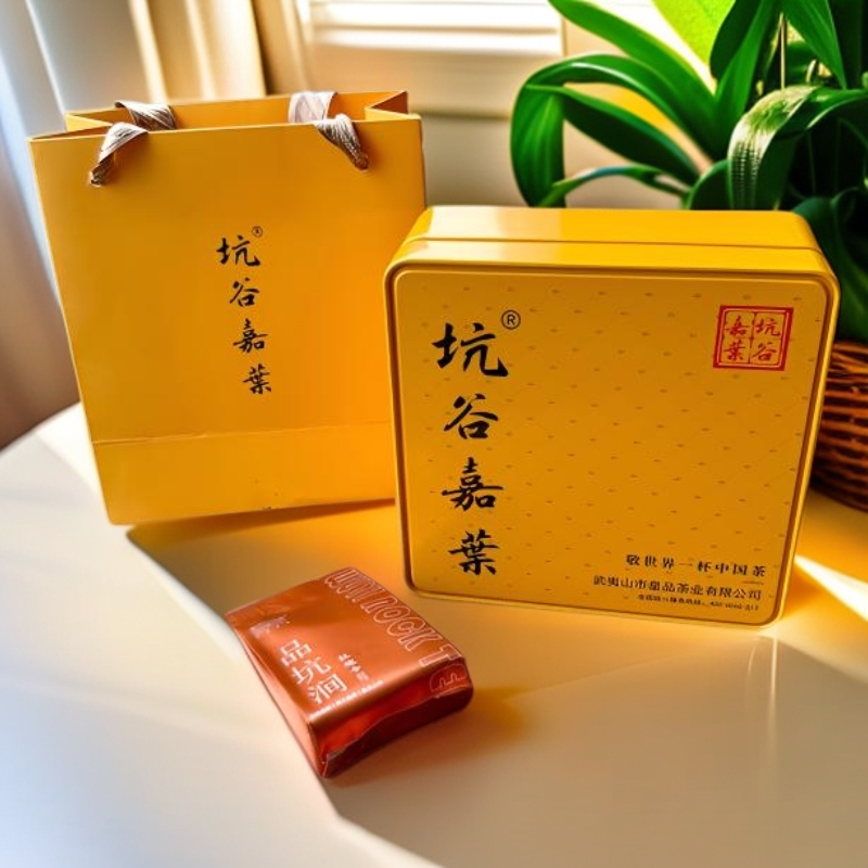 坑谷嘉业·武夷岩茶核心产区大红袍（中火）