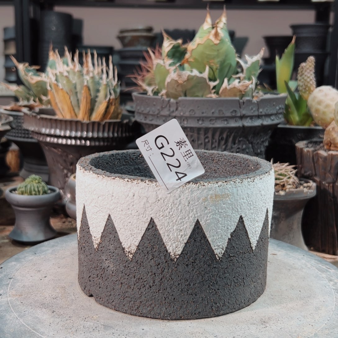 景德镇手工素里内口13.5高9.5