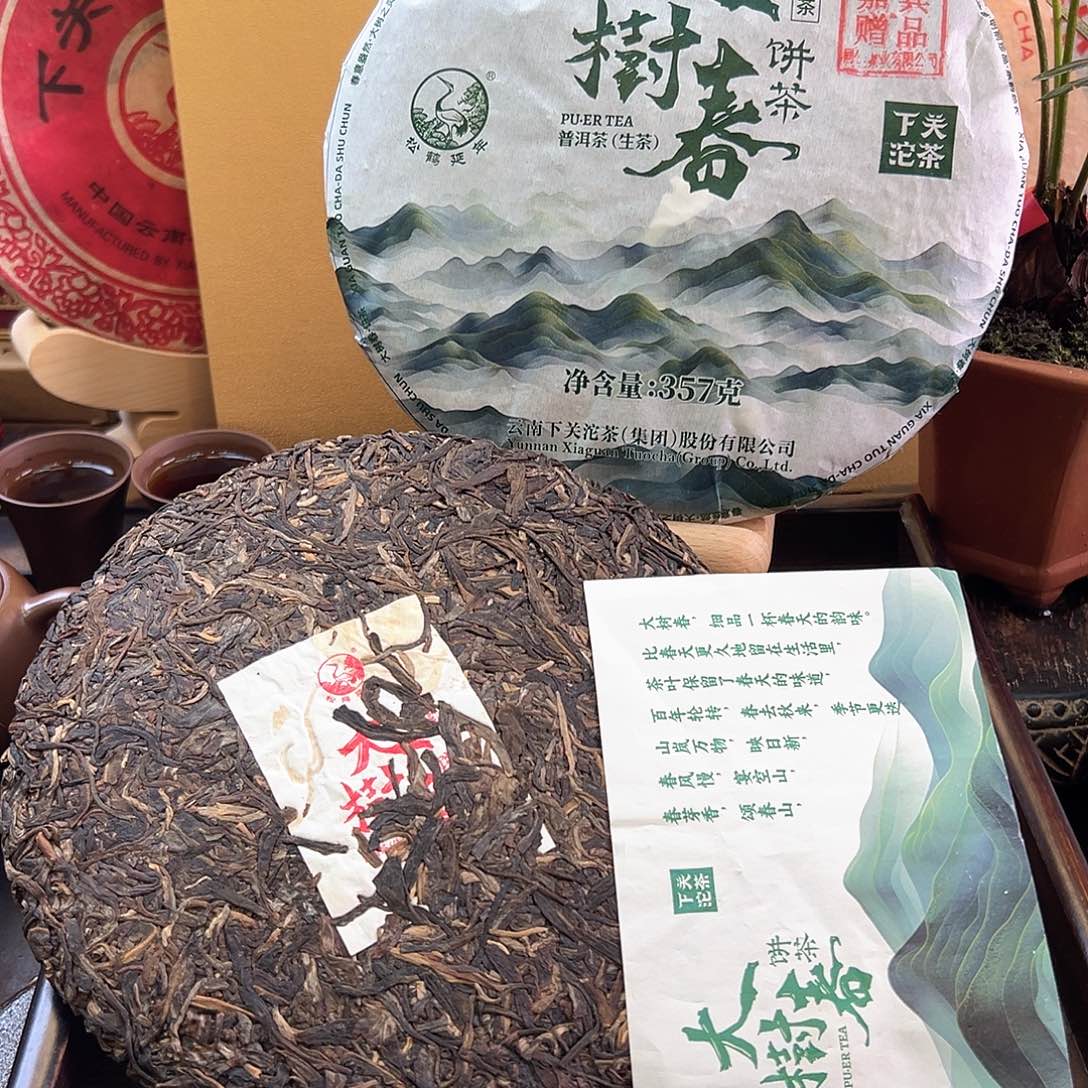 2024年下关大树春357克生茶1饼
