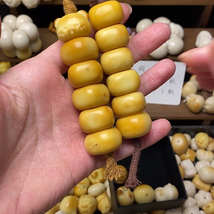吊坠菩提根/象牙果