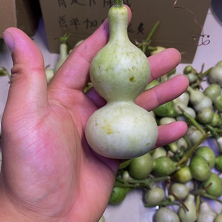 老*?长嘴哈哈哈哈哈哈哈哈哈哈哈好