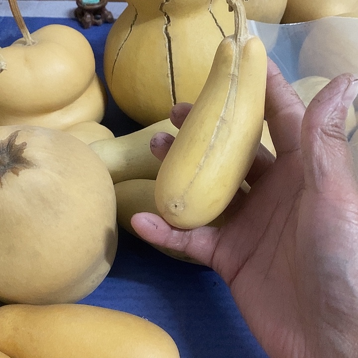 樂***乀葫芦手把件摆件葫芦