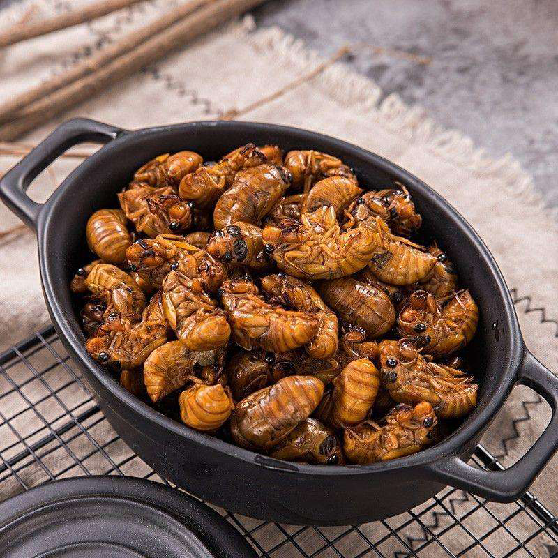 2025新鲜山东大知了猴顺丰包邮冷冻金蝉唐僧肉爬叉蝉蛹知了猴