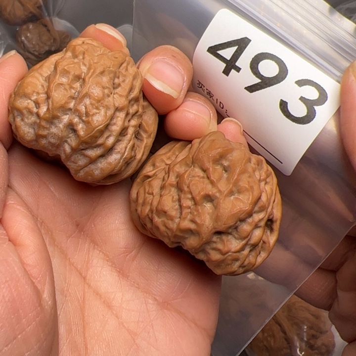 核桃全品39边40肚493