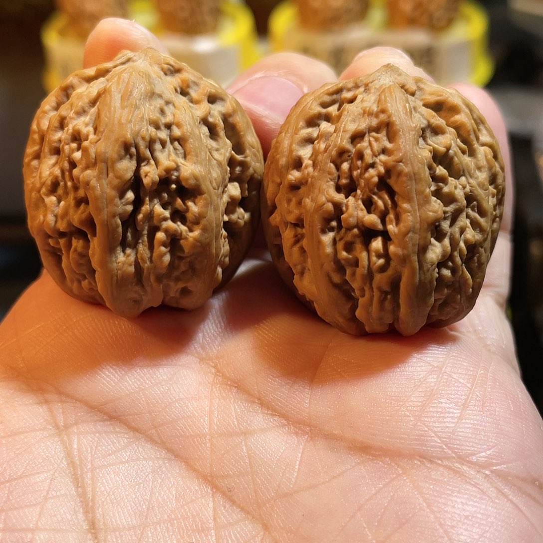 文玩核桃吊坠蚂蚁蛋