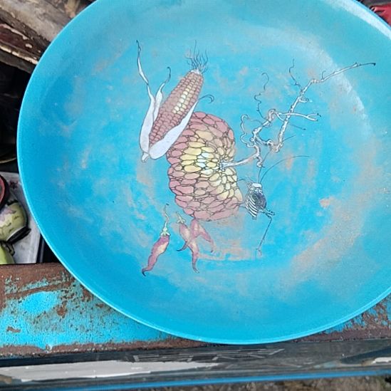 相***遇瓷片瓷器鉴定完毕之后
