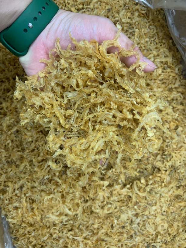 【蚝西施海味】汕尾本港鲍鱼肉边包邮