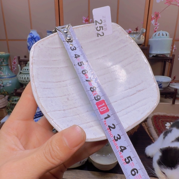 碗252啊啊啊啊啊啊啊啊啊啊啊啊