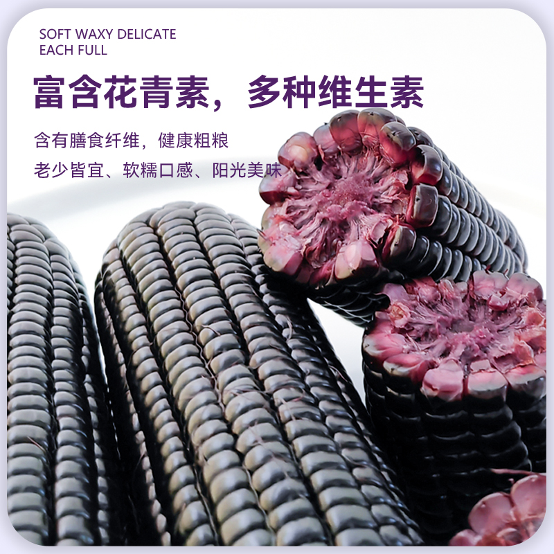 W1香糯玉米乌市周边包邮新鲜黑龙江省