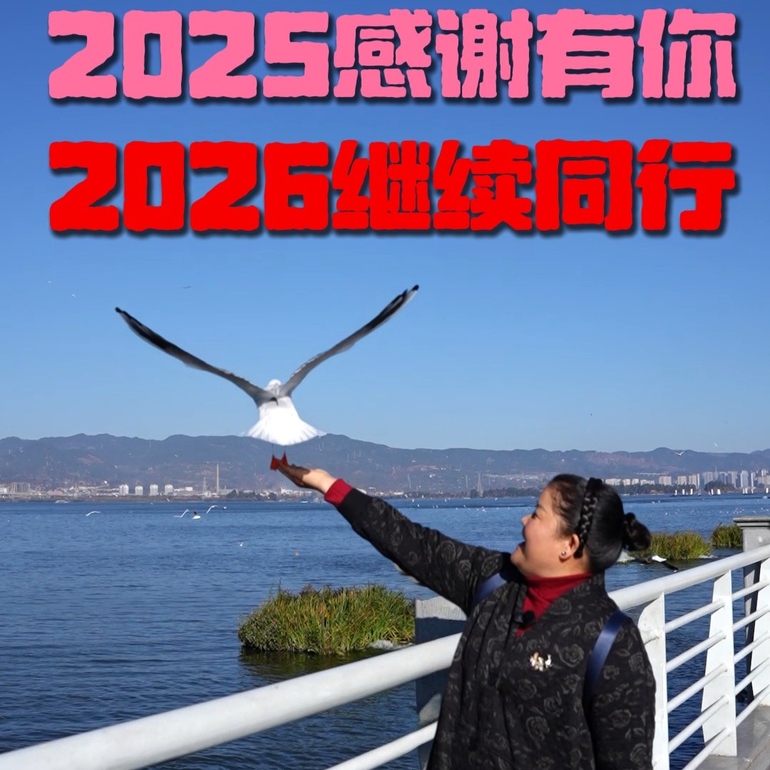 二姐内部专用通用链接千年老妖白茶圆饼拍一发二