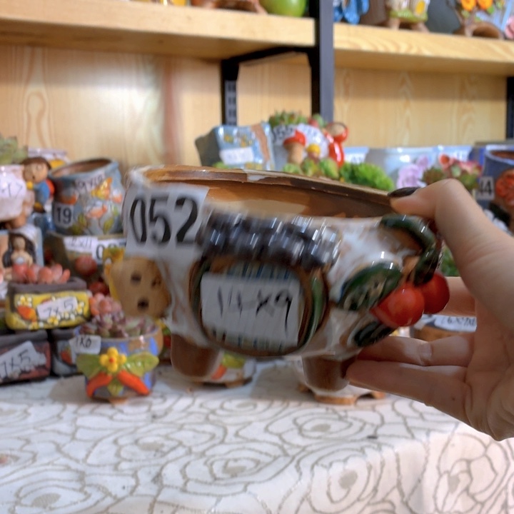 多肉花盆满15包邮