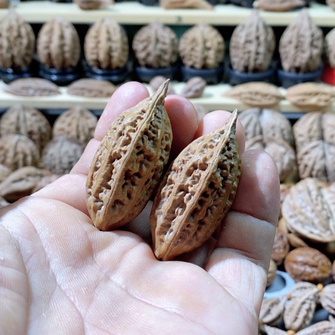 文玩核桃把件鱼漂柳叶