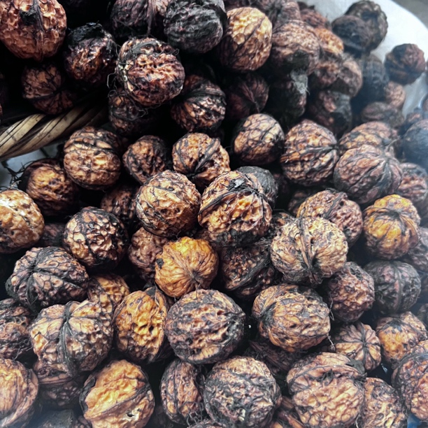 【村里货】——— 核桃