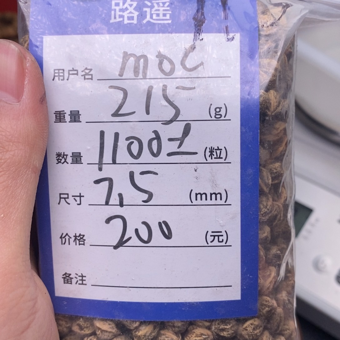 柏香籽/百香籽吊坠M**.