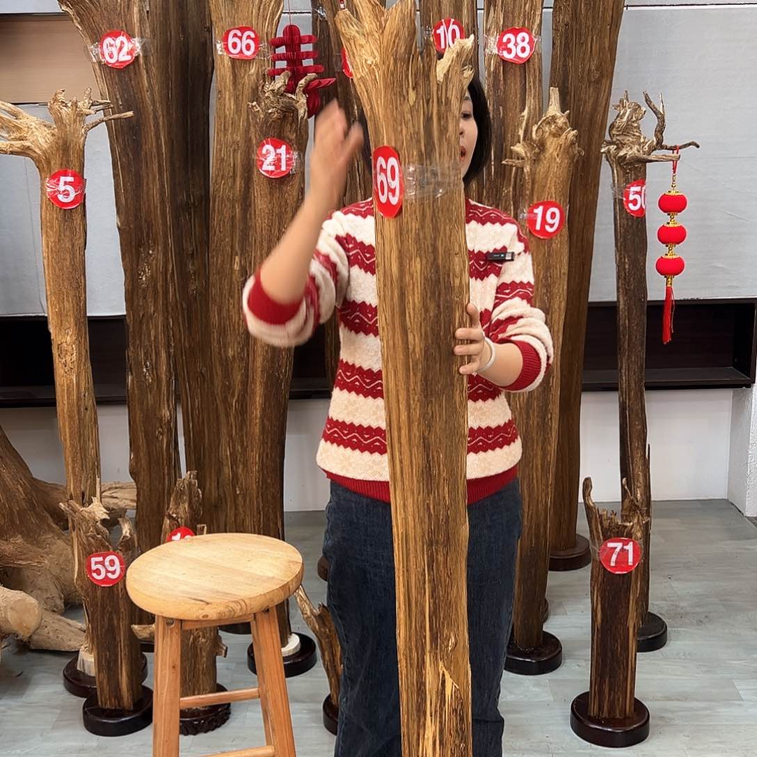 沉香摆件海南沉香摆件