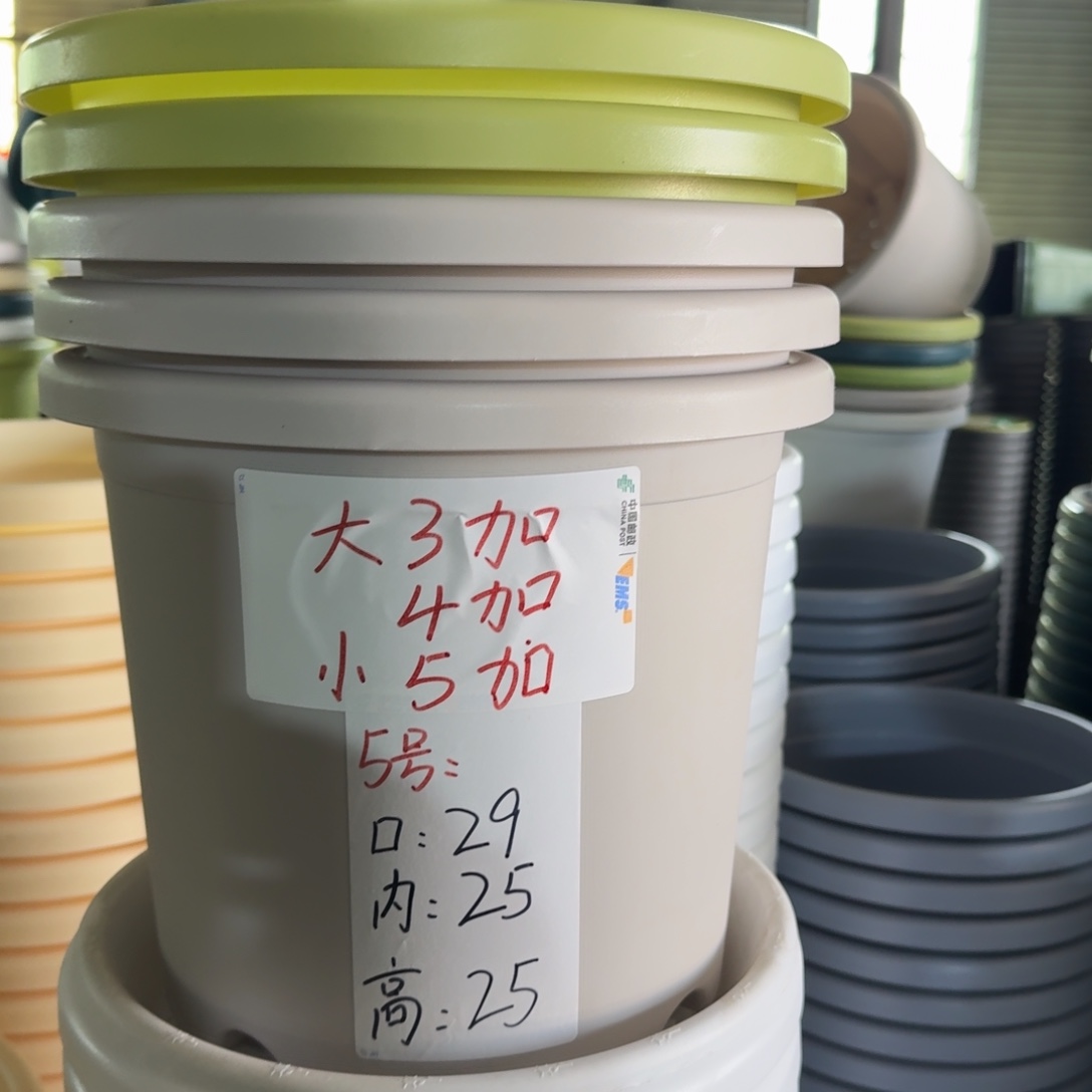 四季5#口径29无拖灰白5个
