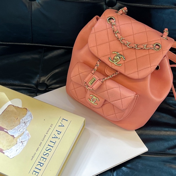 99新 Chanel/香奈儿 22A粉金duma小号双肩包 芯片款