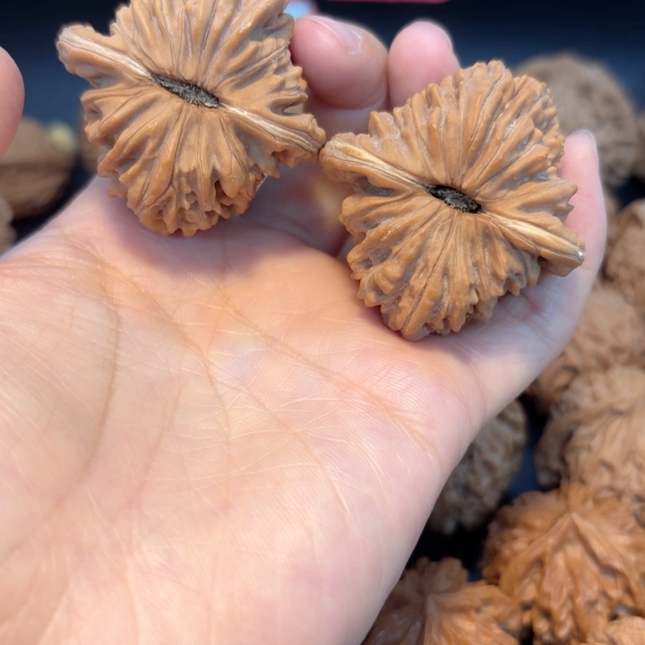 44四座楼全品无修全品无修