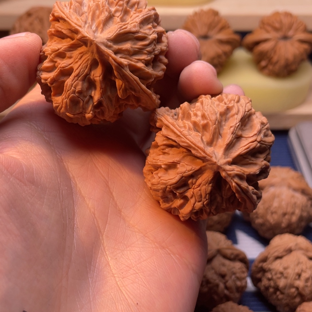 文玩核桃苹果园44尺