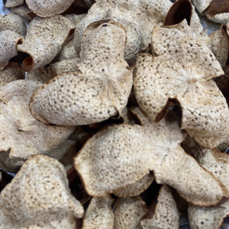 新会陈皮2020年东甲原枝小叶油身大红皮