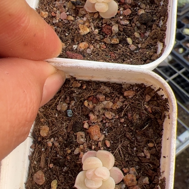 *****小方专拍链接啊啊啊啊