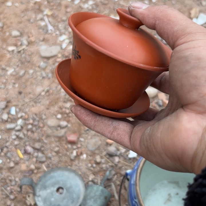 （***修杂色豆（科檀/科特迪瓦檀木）