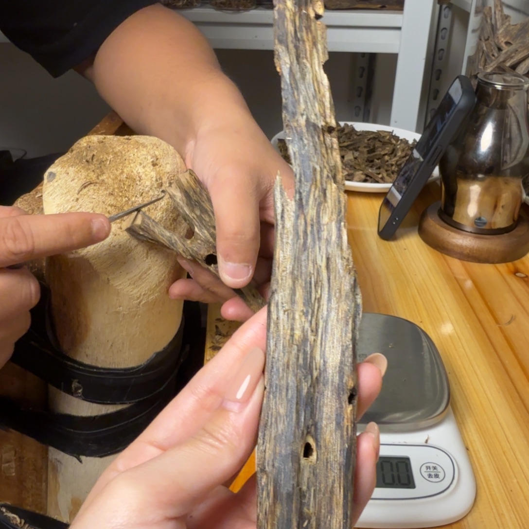 沉香绿奇虫漏香24克