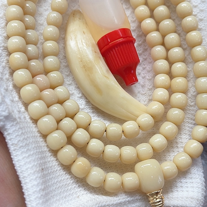 骆驼牙手串/手链骆驼牙4