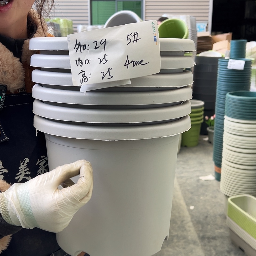 四季盆5#灰白6个无托