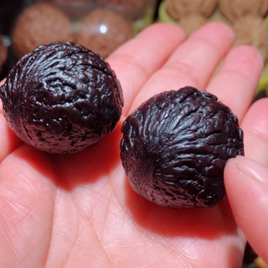 文玩核桃把件黑龙菩提