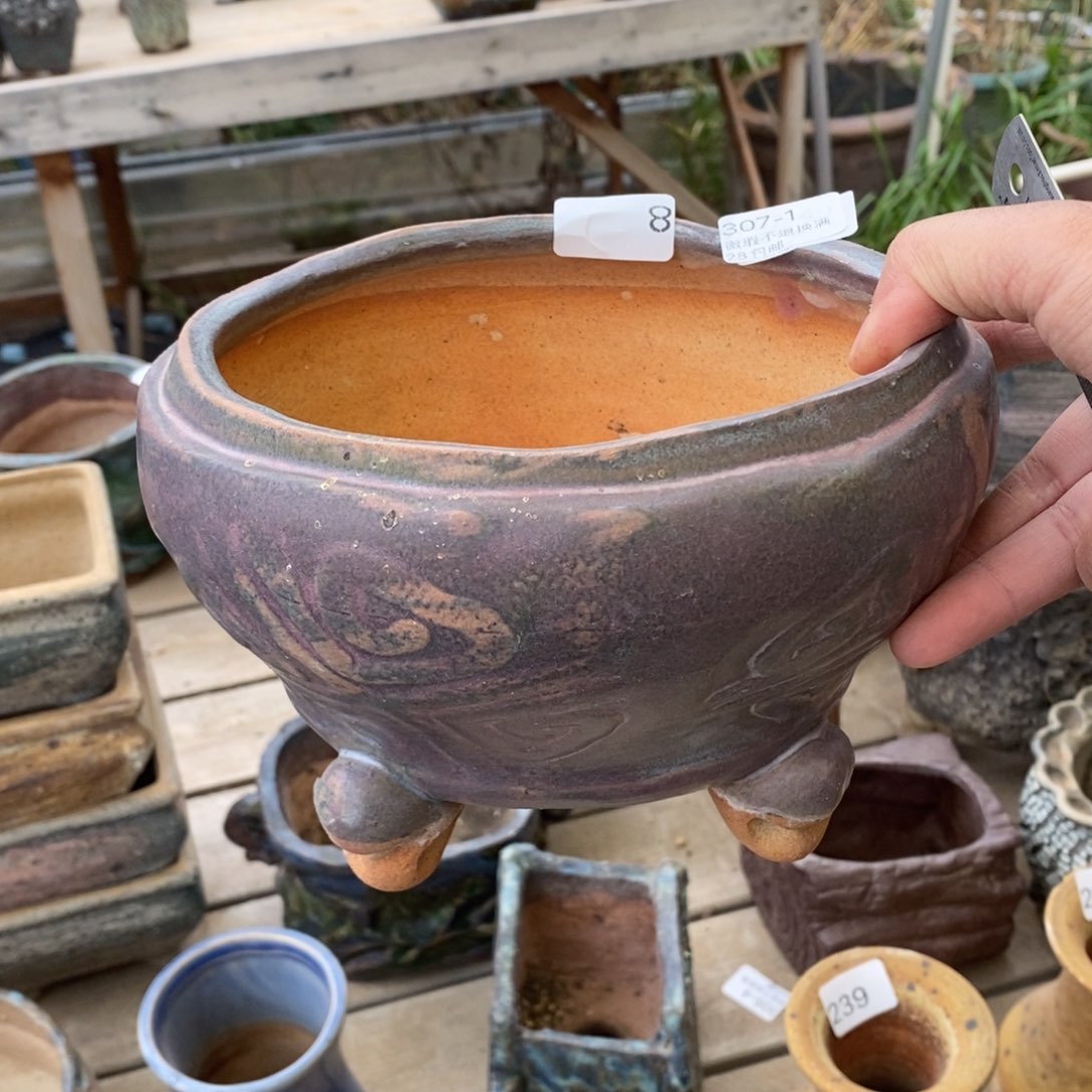 红陶小***头1号多肉盆一个呀