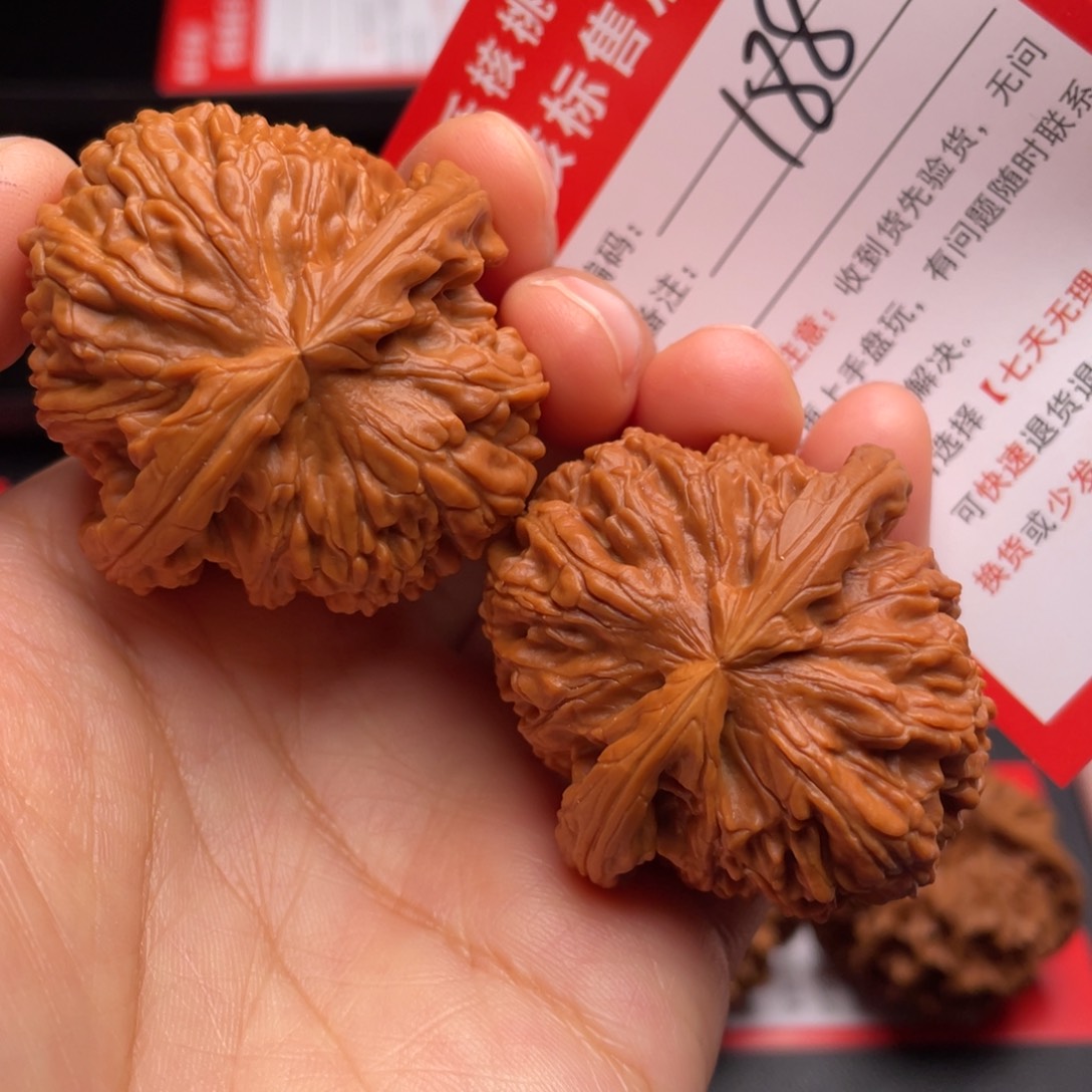 文玩核桃把件白狮子42.8尺