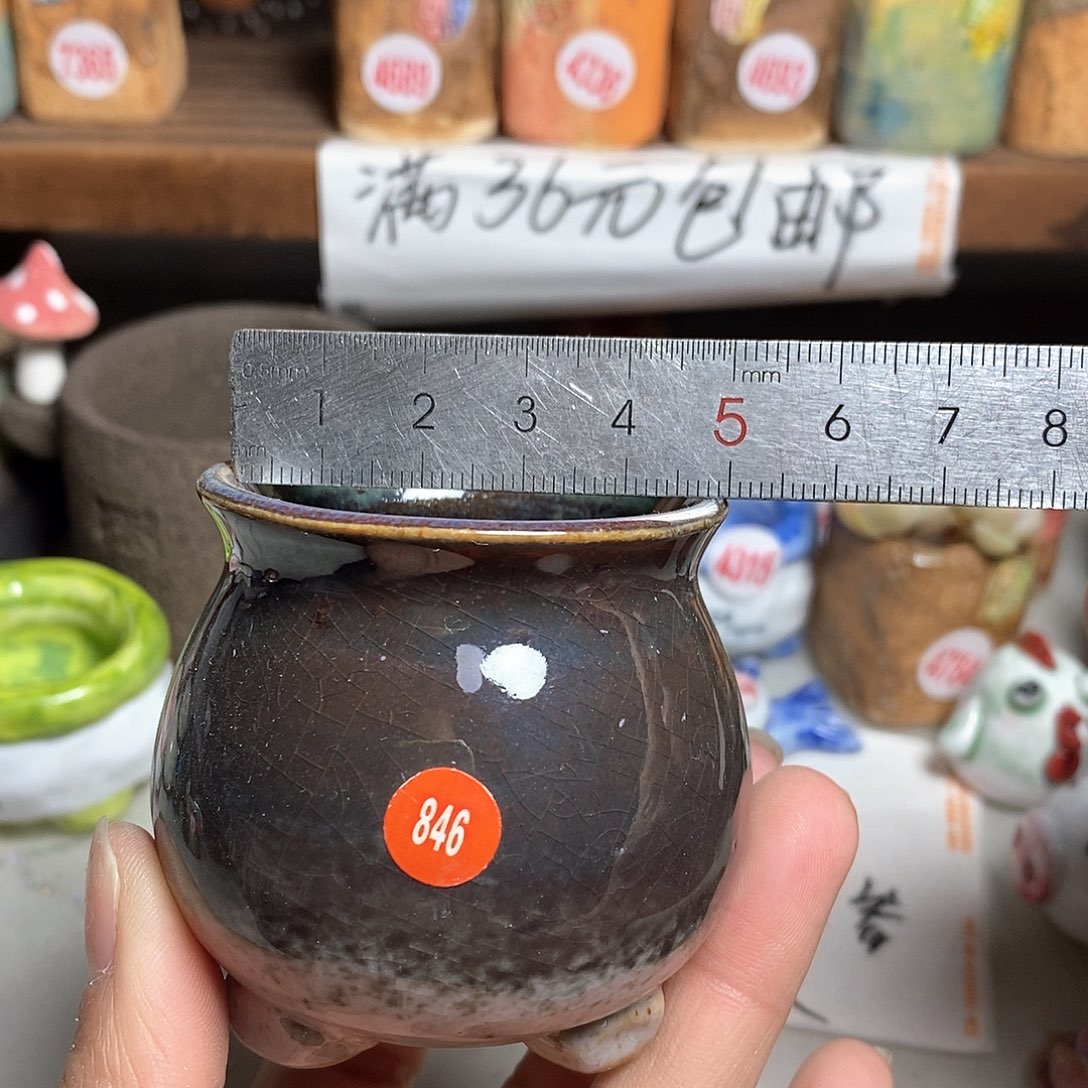 红陶拍5送一个小