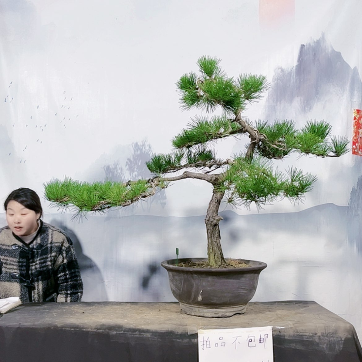 【闪购商品】无花朵包邮