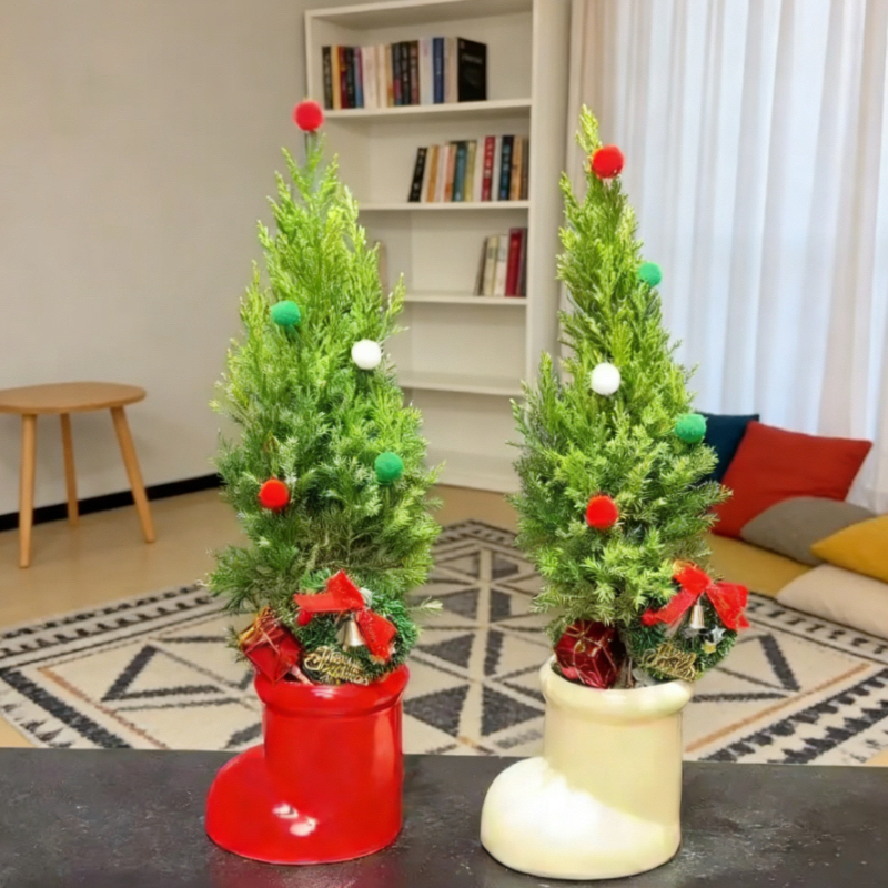 塔柏圣诞树盆栽室内客厅办公室绿植净化空气好养节日送礼装饰植物