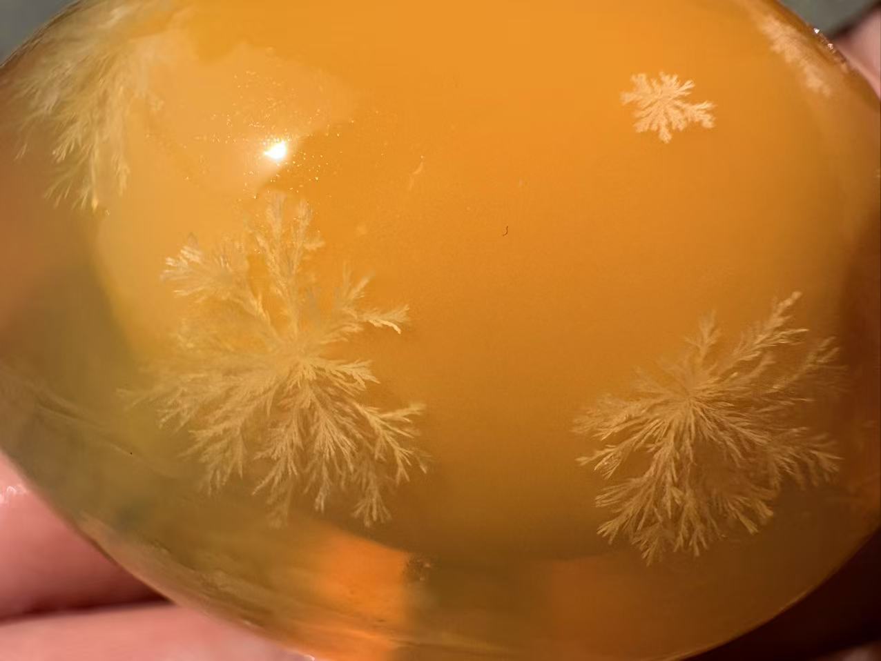 吹哥直播现收农村土货土豆等链接